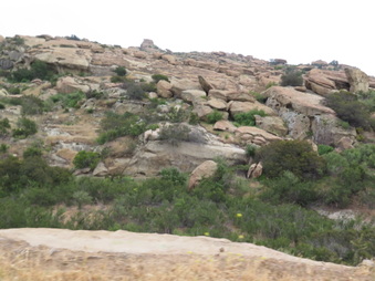 Enlarge photo 44