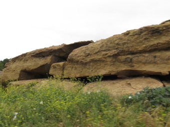Enlarge photo 45