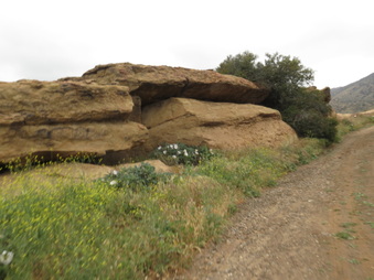 Enlarge photo 47