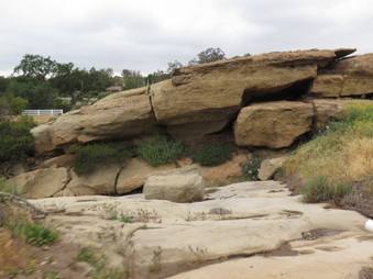 Enlarge photo 49