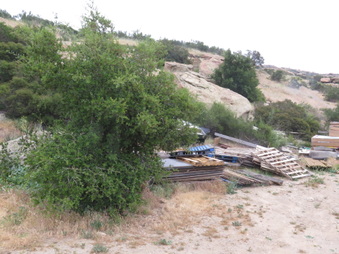 Enlarge photo 56