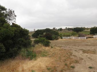 Enlarge photo 59