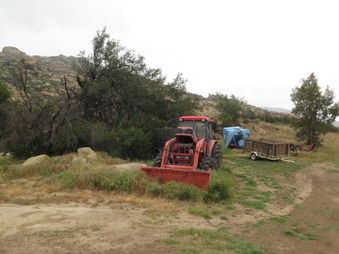 Enlarge photo 61