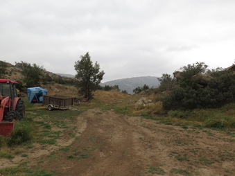 Enlarge photo 62