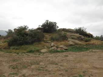 Enlarge photo 63
