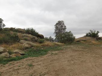 Enlarge photo 64