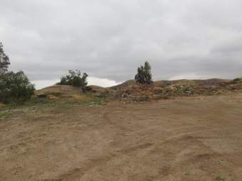 Enlarge photo 65