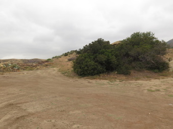 Enlarge photo 66