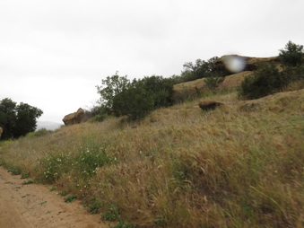 Enlarge photo 22