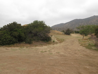 Enlarge photo 67