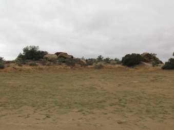 Enlarge photo 71