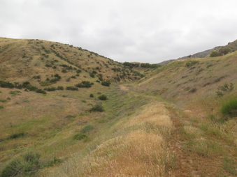 Enlarge photo 72