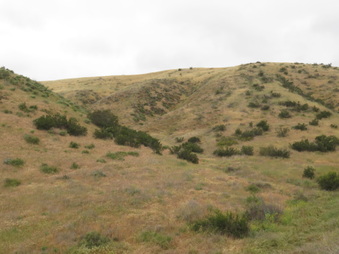 Enlarge photo 78