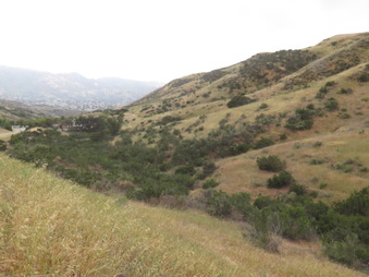 Enlarge photo 82