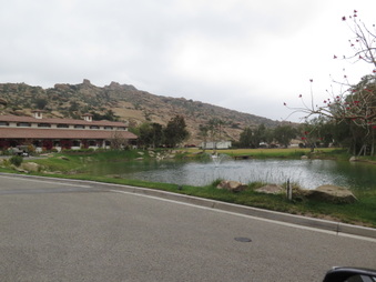 Enlarge photo 85