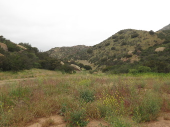 Enlarge photo 3
