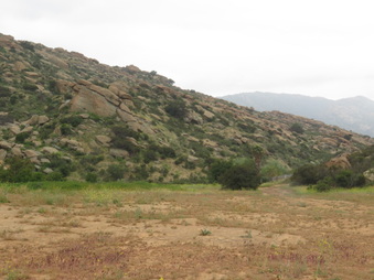 Enlarge photo 10