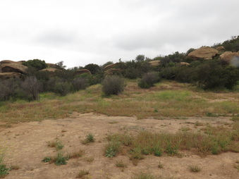 Enlarge photo 12