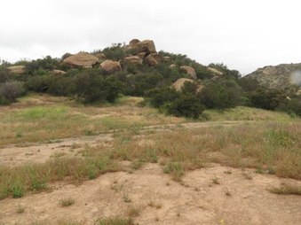 Enlarge photo 13