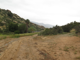Enlarge photo 15