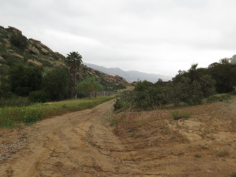 Enlarge photo 14
