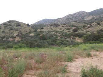 Hummingbird Ranch SIMI VALLEY