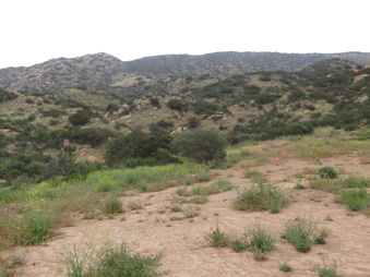 Enlarge photo 2