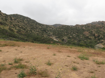 Enlarge photo 5