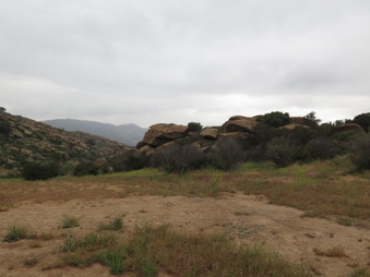 Enlarge photo 7