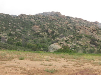 Enlarge photo 9