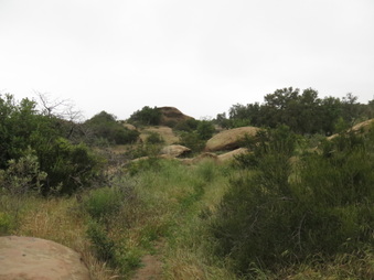Enlarge photo 10