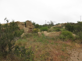 Enlarge photo 15