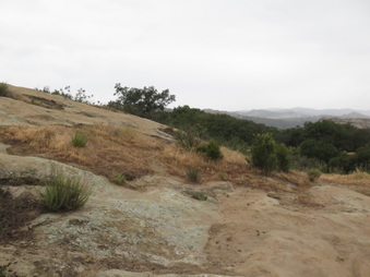 Enlarge photo 14