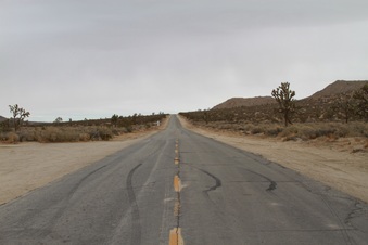 Enlarge photo 53