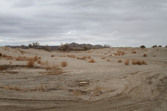 Enlarge photo 58