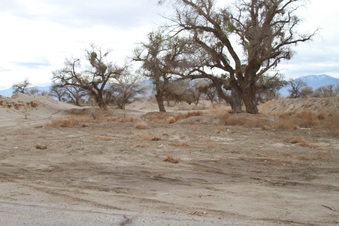 Enlarge photo 57