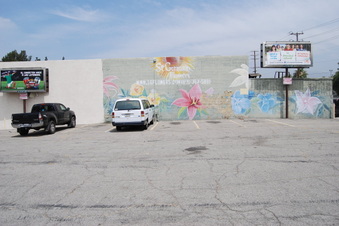 Enlarge photo 11