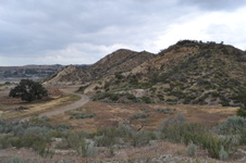 Enlarge photo 66