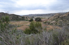 Enlarge photo 67