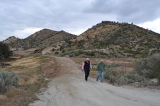 Enlarge photo 71
