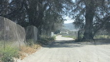Yeguada Herrera Ranch _Color of the Wind