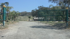 Enlarge photo 3