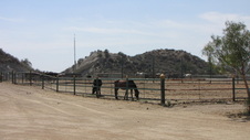 Enlarge photo 8