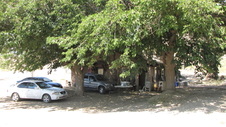 Enlarge photo 18