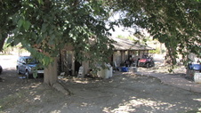 Enlarge photo 24