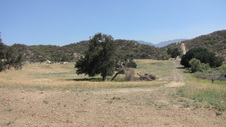 Enlarge photo 38