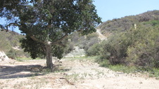 Enlarge photo 39