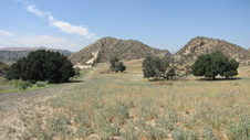 Enlarge photo 40
