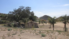 Enlarge photo 43