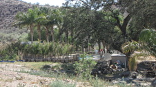 Enlarge photo 44